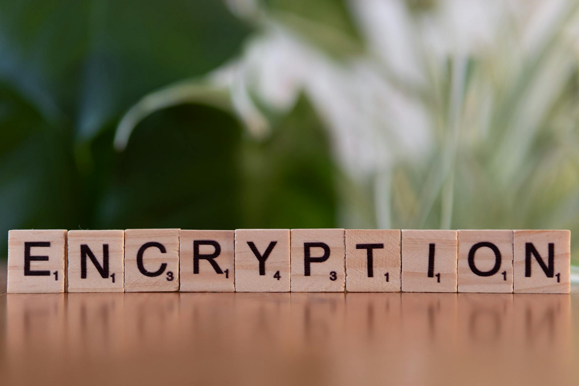 Drewniane klocki z napisem encryption symbolizujące ochronę danych Drewniane klocki z napisem encryption symbolizujące ochronę danych